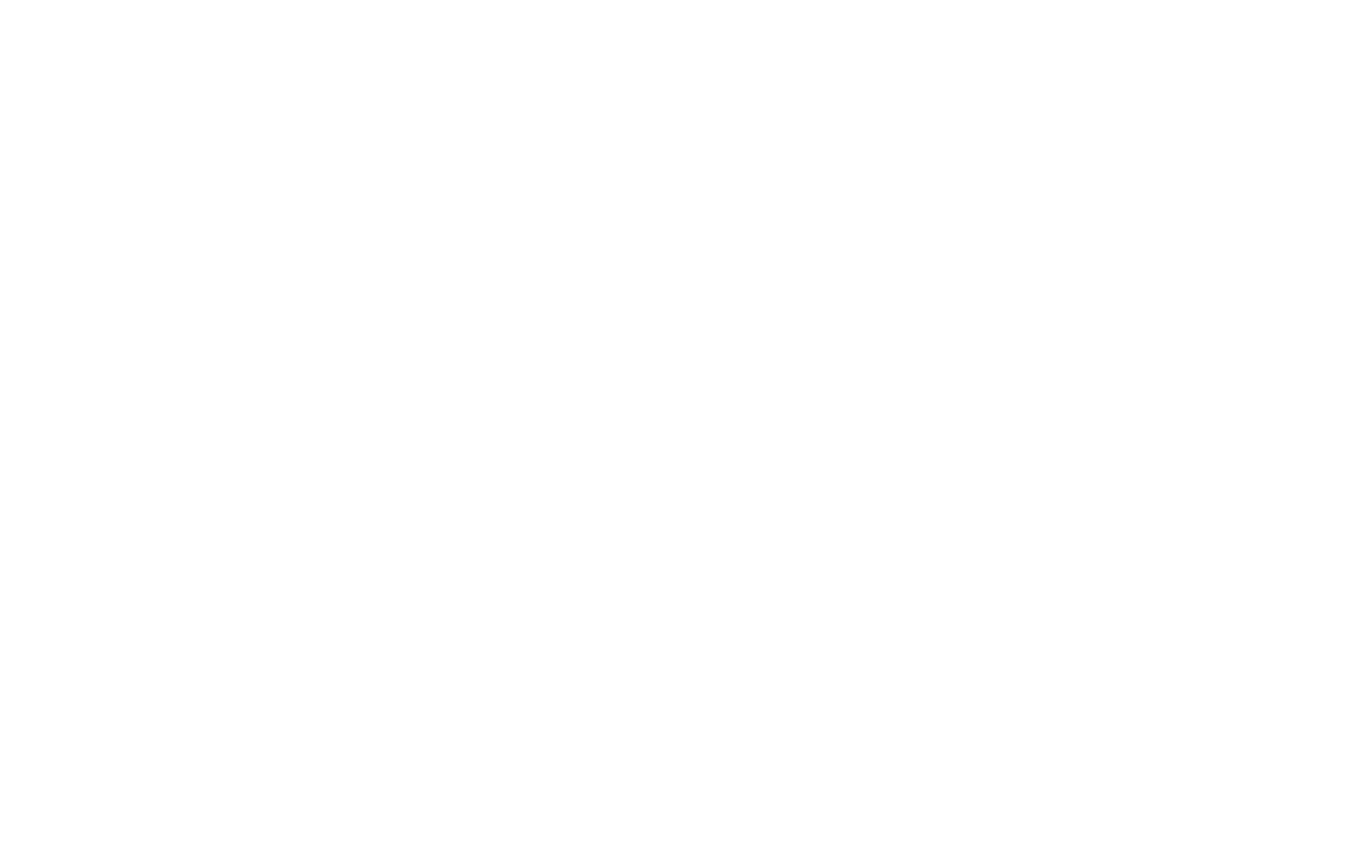 Animated Logo